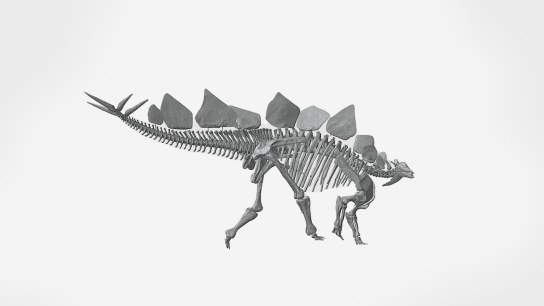 Artec Space Spider scans gigantic 150-million-year-old Stegosaurus skeleton