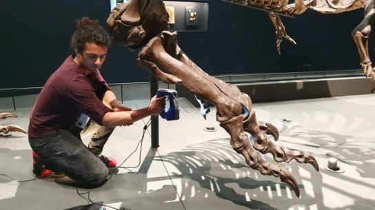 Oldest known T. rex and Artec 3D meet again for a Japanese museum installation