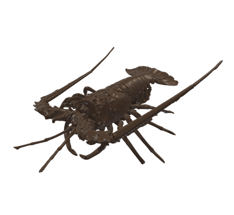 Lobster HD